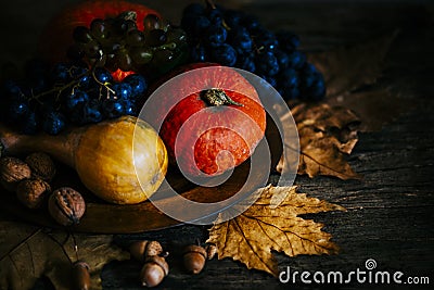 Thanksgiving composition with autumn fruit in wooden plate with maple leaves. Pumpkin and grapes vintage still life scene. Stock Photo