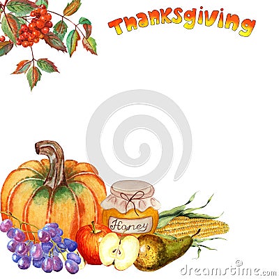 Thanksgiving corner frame. Rowan bunch, pumpkin, grapes, apple, pear, corn and honey Vector Illustration