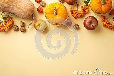 Thanksgiving day concept. Top view photo of raw vegetables pumpkins gourd apples walnuts rowan berries and physalis on isolated Stock Photo