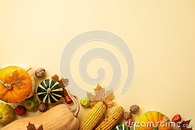 Thanksgiving day concept. Top view photo of raw vegetables pumpkins gourd maize pattypans walnuts maple leaves and physalis on Stock Photo