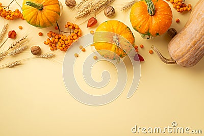 Thanksgiving day concept. Top view photo of raw vegetables pumpkins gourd rowan walnuts physalis and wheat on isolated beige Stock Photo