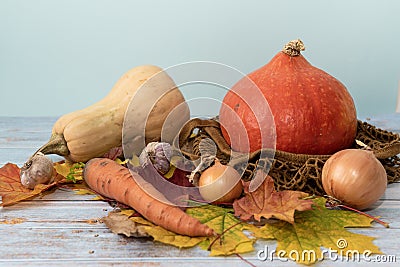 Thanksgiving Day decoration background. Blue wooden table with pumpkins, carrot, garlic, onion and maple leaves. Harvest festival Stock Photo