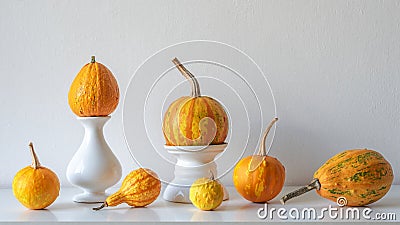 Thanksgiving decoration. Minimal autumn inspired room decoration. Selection of various pumpkins on white shelf. Stock Photo