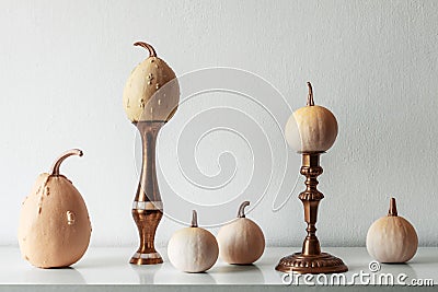 Thanksgiving decoration. Minimal autumn inspired room decoration. Selection of various pumpkins on white shelf. Stock Photo