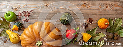 Thanksgiving flat lay with colorful pumpkins, fruits and fall leaves on rustic wooden background, banner Stock Photo