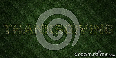 THANKSGIVING - fresh Grass letters with flowers and dandelions - 3D rendered royalty free stock image Stock Photo