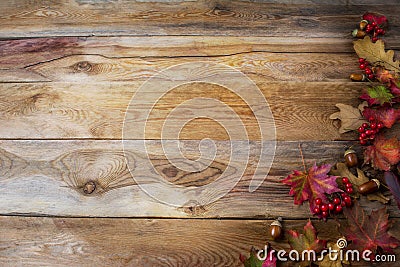 Thanksgiving greeting background with berries, acorn and fall m Stock Photo