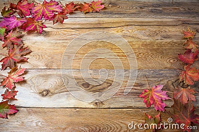 Thanksgiving greeting background with fall maple leaves Stock Photo