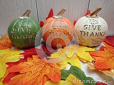 Thanksgiving Halloween.. Give Thanks pumpkins (New England fall color leaves Stock Photo