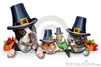 Thanksgiving Pet Celebration Cartoon Illustration