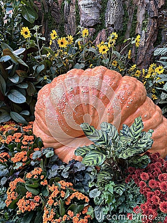 Thanksgiving themed garden area Stock Photo