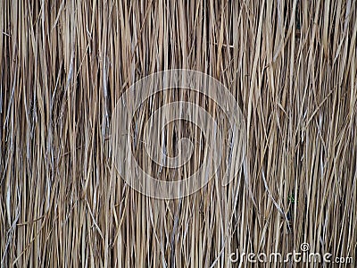 Thatch roof or wall background, hay or dry grass background. A thatched roof or wall, hay or dry grass background. Grass hay, roof Stock Photo