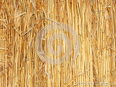 Thatch wall Stock Photo