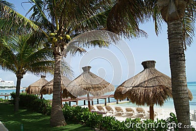 Thatched beach umbrellas & coconut trees in Cancun beach, Mexico Stock Photo