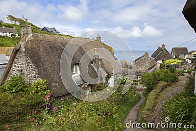 Thatched cottages at Cadgwith Cove, Cornwall, England Stock Photo