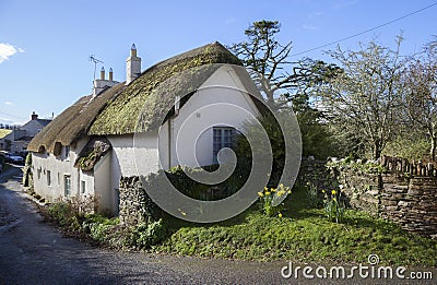 Thatched Devonshire cottage, England Stock Photo