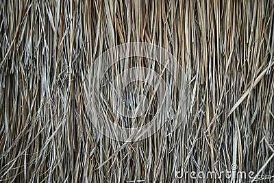 A thatched roof, hay or dry grass background. Grass hay, roof texture. Dry straw, roof background texture. Abstract background by Stock Photo