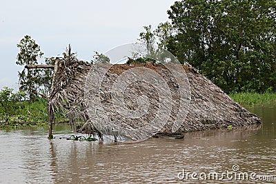 Thatched Roof House Stock Photo