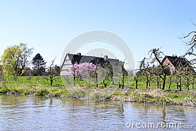 Thatched-roof house Stock Photo