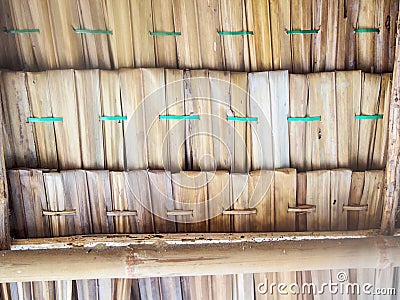 The thatched roofs in Thailand Stock Photo
