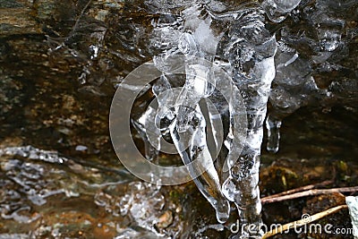 The thawing icicles similar to parts of a human body Stock Photo