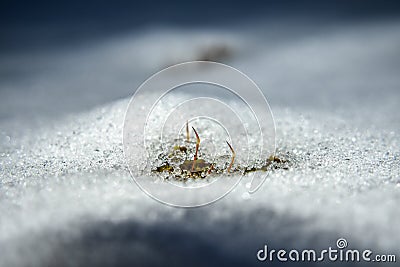 Thawing Stock Photo