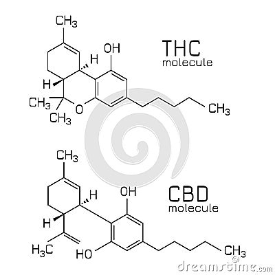 THC vs CBD molecule formulas Vector Illustration