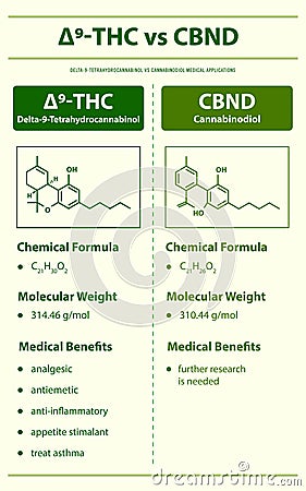 âˆ†9-THC vs CBND, Delta 9 Tetrahydrocannabinol vs Cannabinodiol vertical infographic Cartoon Illustration