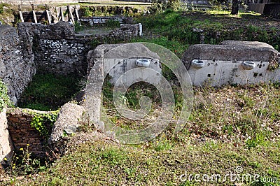 Theatre of Marcellus Teatro di Marcello. Rome, Italy Editorial Stock Photo