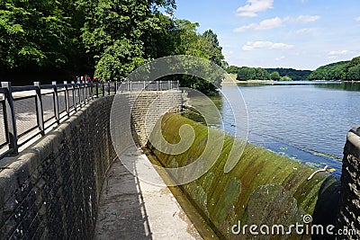 The Summertime Expressions of Nature. Stock Photo