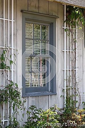 Their are plants on a trellis outside this house. Stock Photo