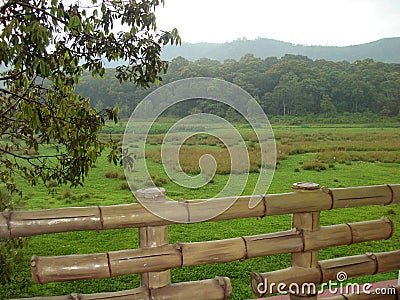 Thekkady Stock Photo