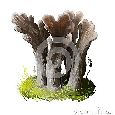 Thelephora palmata, stinking earthfan or fetid false coral mushroom closeup digital art illustration. Branches of fruit Cartoon Illustration
