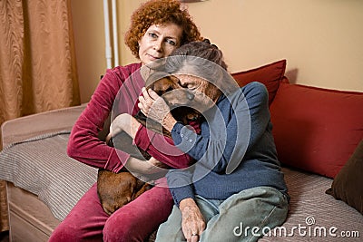 The theme is animal therapy, caring for elderly with dementia and Alzheimer`s disease. Adult women spend time with elderly mother Stock Photo