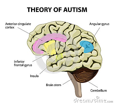 Theory of autism Vector Illustration