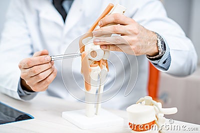 Therapist showing knee joint model Stock Photo