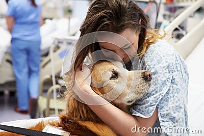 Therapy Dog Visiting Young Female Patient In Hospital Stock Photo