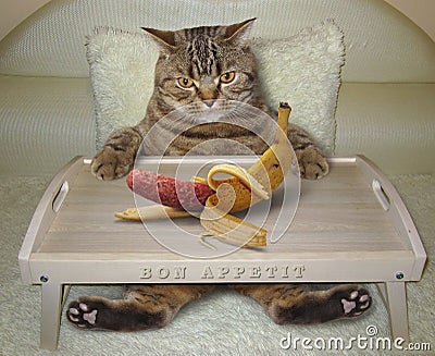 Cat in bed and banana Stock Photo