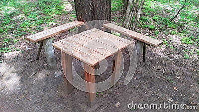 There is a clearing in the woods for rest and picnics. There are self-made wooden benches and a table near a pine tree. Grass and Stock Photo