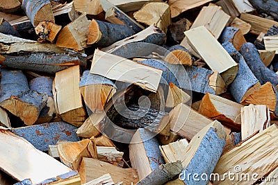 Pile chopped woods Stock Photo