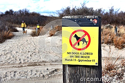 New york environment policy dog on the beach Editorial Stock Photo