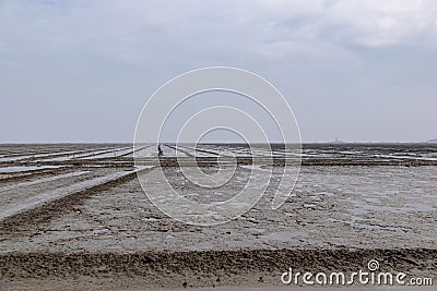 There are farms and roads made of soil on the dark beach Stock Photo