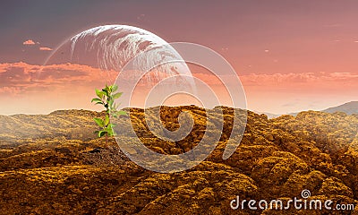 Is there life on moon . Mixed media Stock Photo