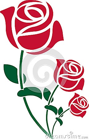 There roses Vector Illustration