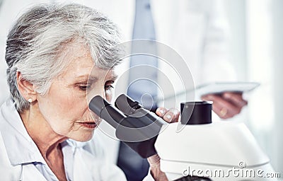 There seems to be a change or two. a focused elderly female scientist looking through a microscope while being seated in Stock Photo