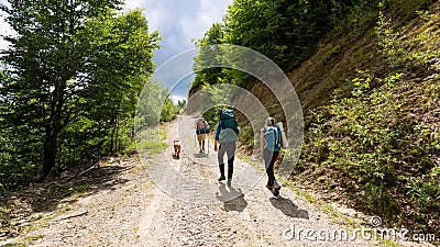 Friends hiking through the wilderness of Buila Vanturarita National Park in Romania Stock Photo