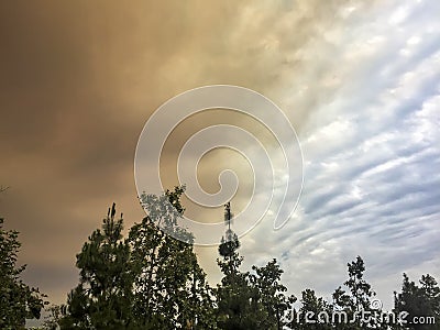 There are strange clouds above the trees Stock Photo