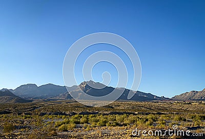 There are vast desert plants and high canyons alongside the Red Rock Canyon in Las Vegas. Stock Photo