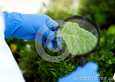 Theres something much deeper to uncover. Closeup shot of an unrecognisable scientist using a magnifying glass to analyse Stock Photo