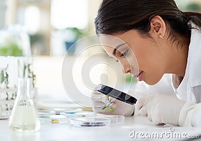 Theres always something new to learn and discover. a young scientist using a magnifying glass to analyse a plant in a Stock Photo